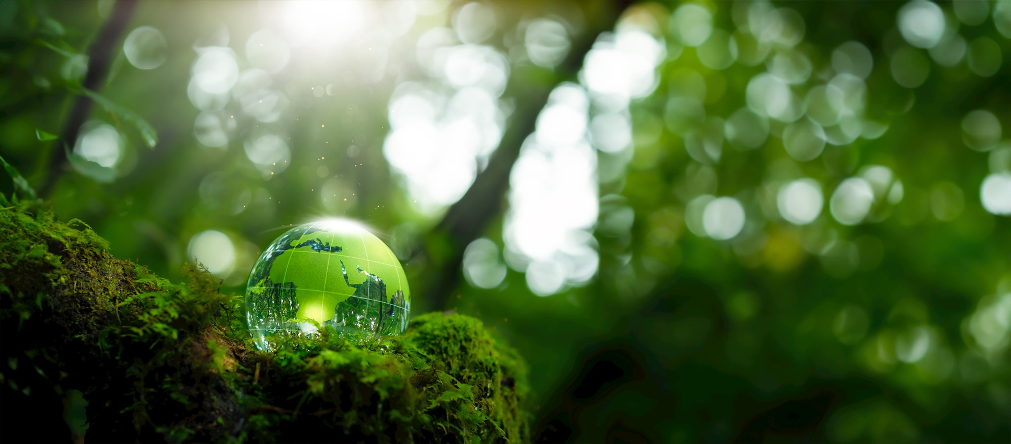 Crystal globe placed on moss ESG concept for environment Society and Governance Sustainable